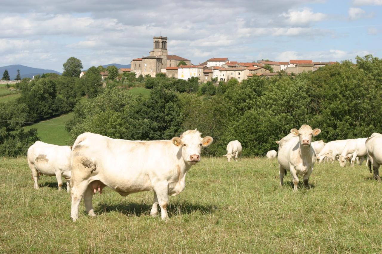 La Paresse En Douce Bed & Breakfast Tours-Sur-Meymont Eksteriør bilde