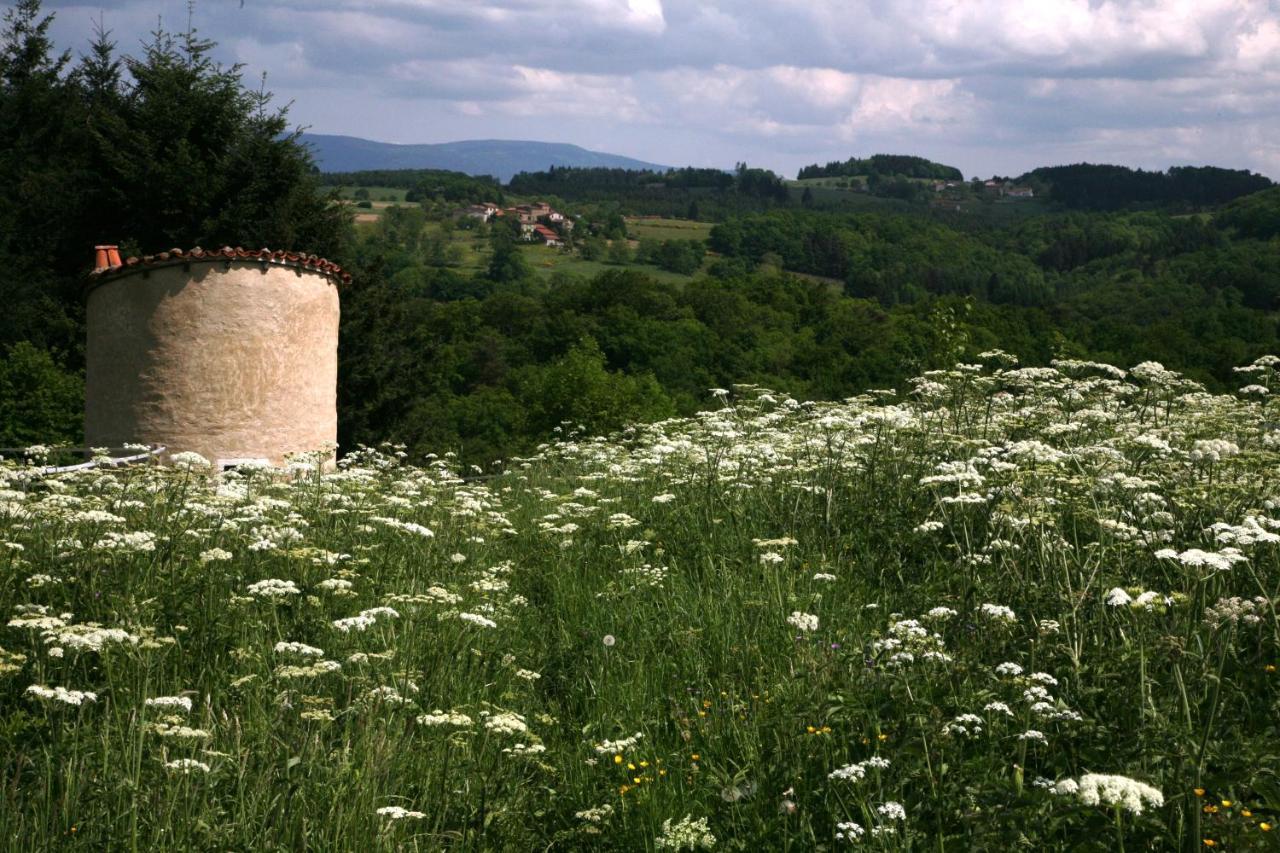 La Paresse En Douce Bed & Breakfast Tours-Sur-Meymont Eksteriør bilde